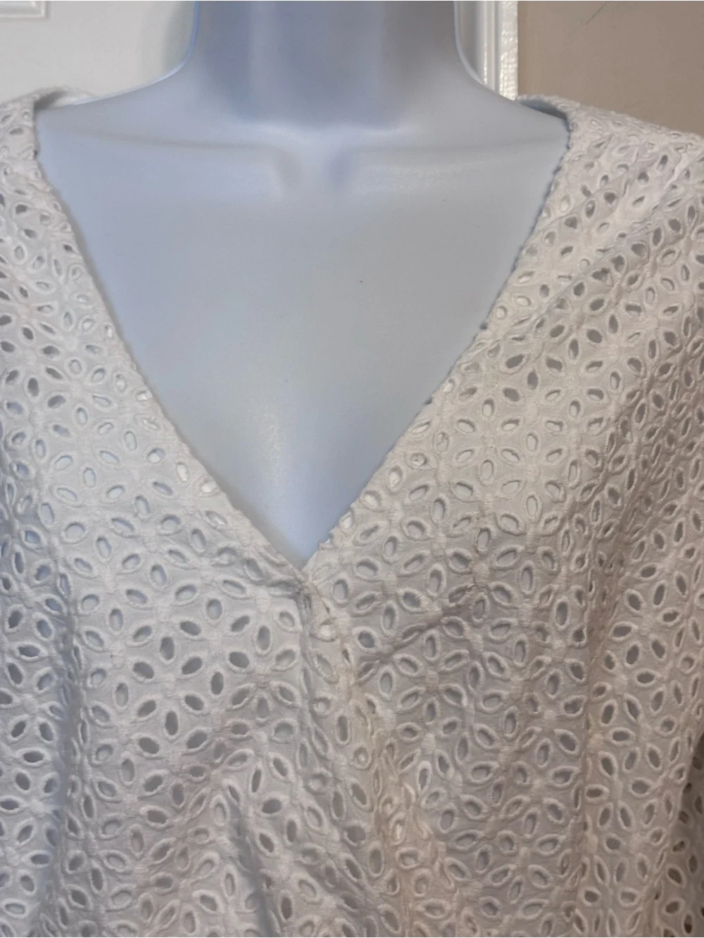 Anthropologie Greylin Eyelet Top